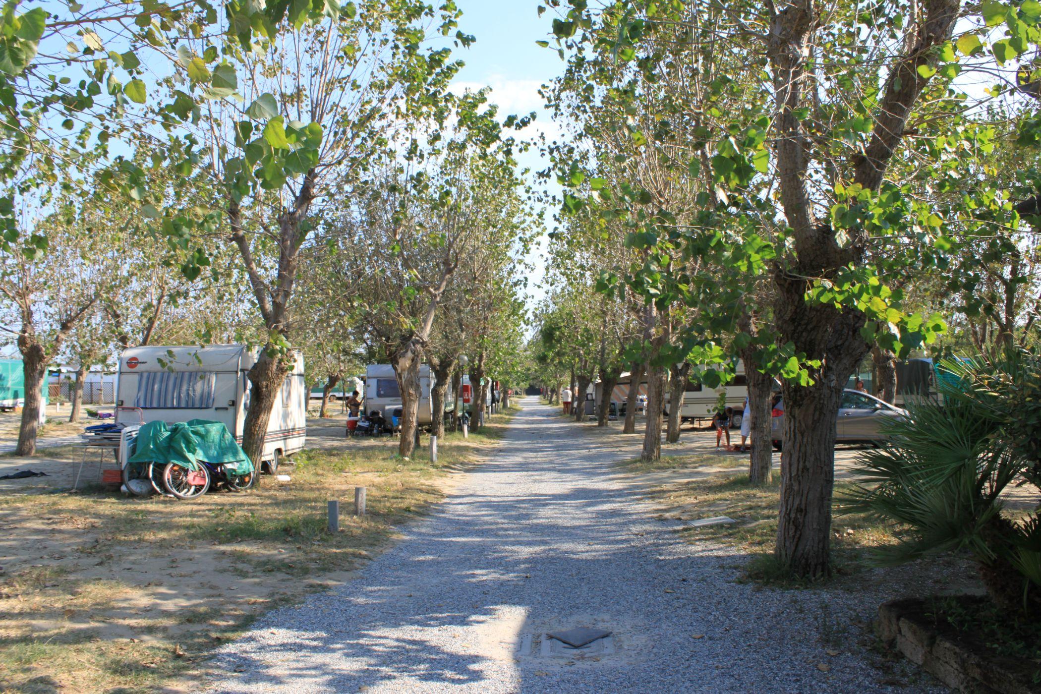 Club Del Sole Pini Boutique Resort Punta Marina Dış mekan fotoğraf